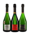 Trilogie champenoise 2 - Champagne Lacour